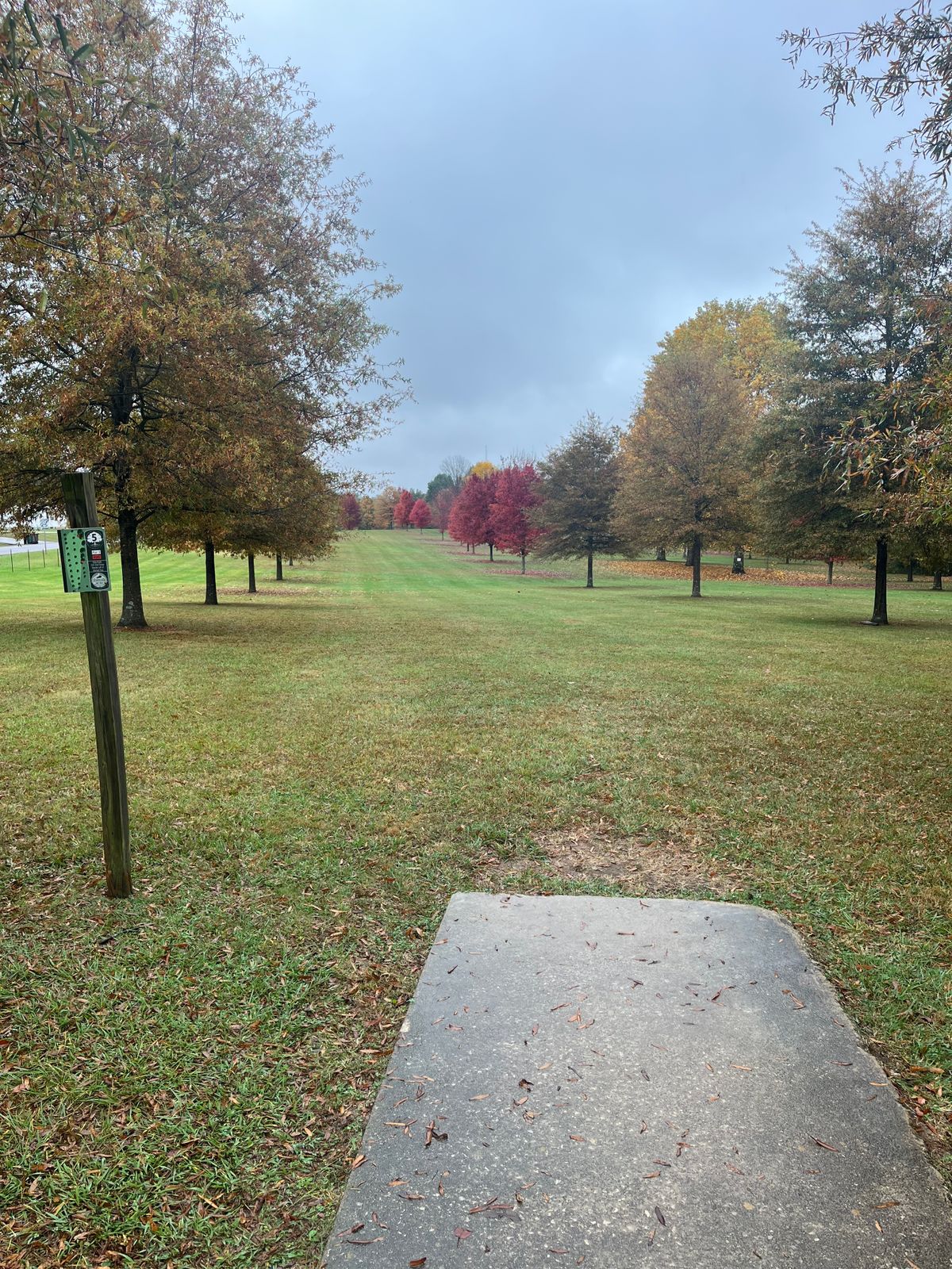 Hole 5 presents with a long par three with the basket on the other side of the right row of trees.