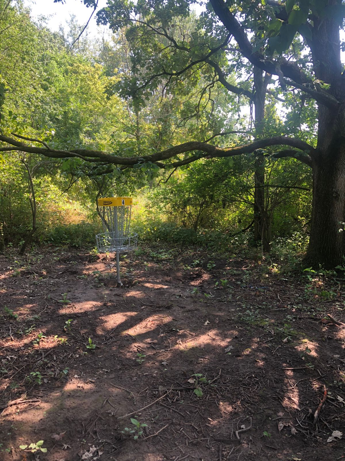 Hole 4