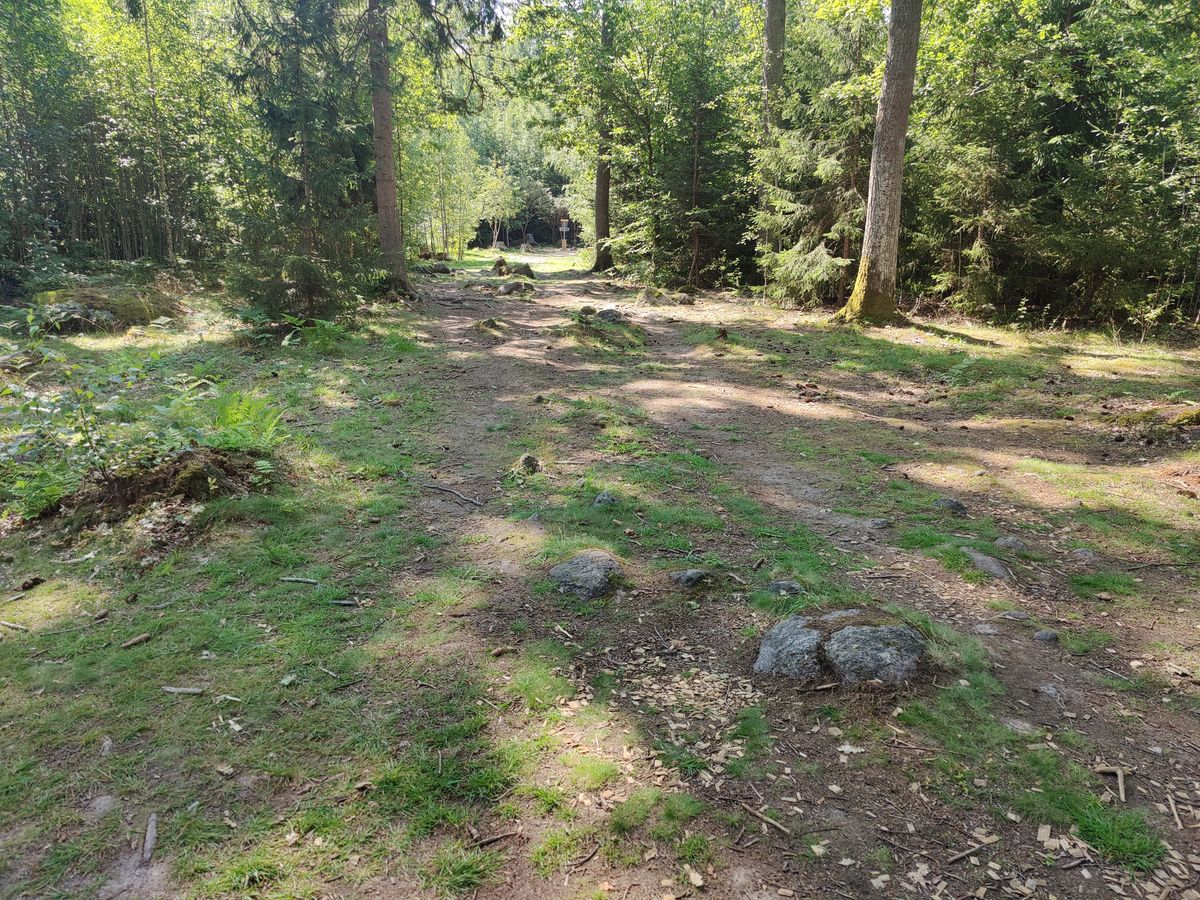 Bana 16 annan vinkel för att se genom svängen. Tee är ca 4 m till höger.