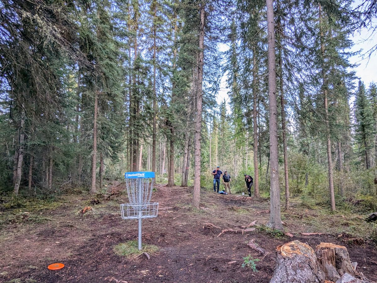 Hole 2 - Golden Grouse Tournament