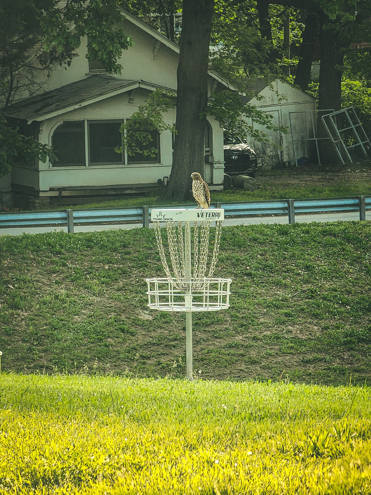 Hole 9. Easy, birdie.