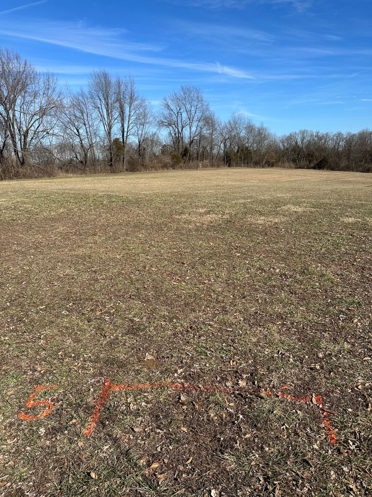 #5 tee
