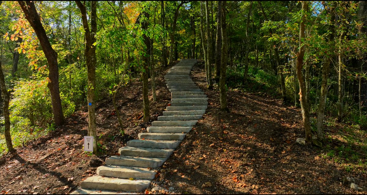 Stairway to hole 4.
