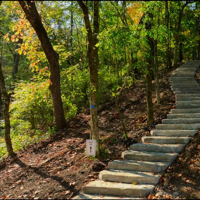 Stairway to hole 4.