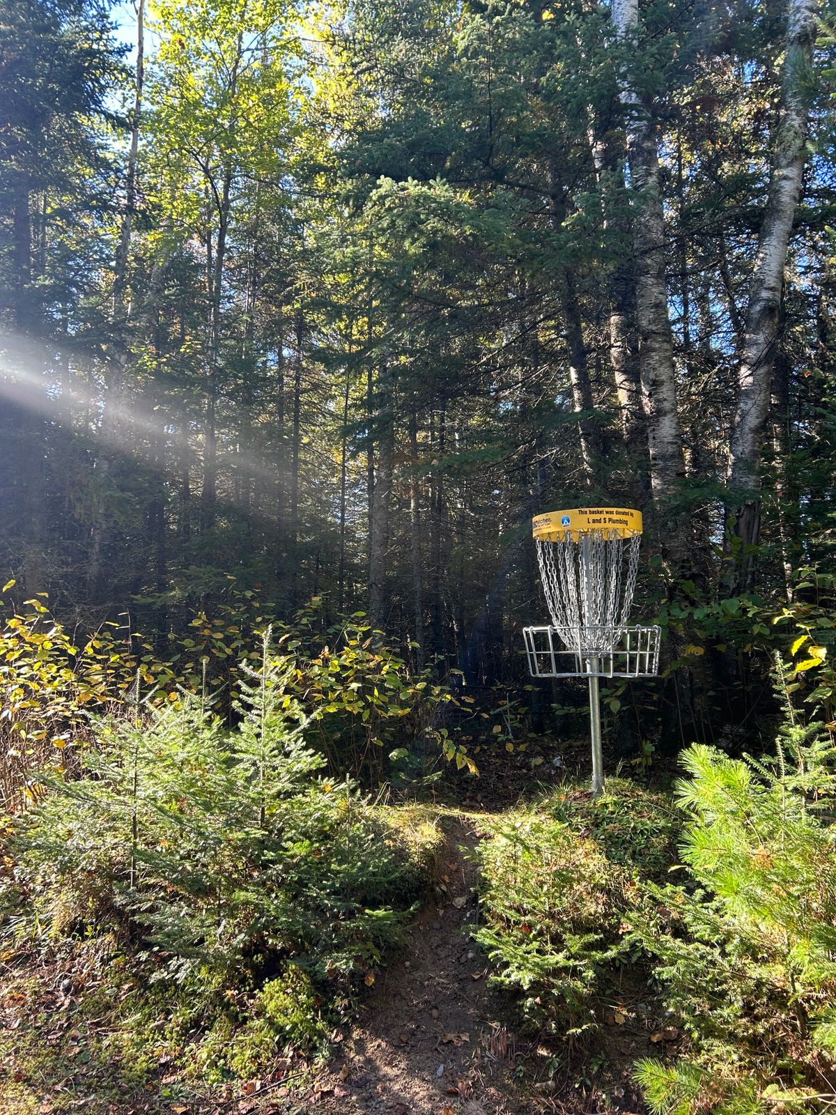 Hole 7 basket
