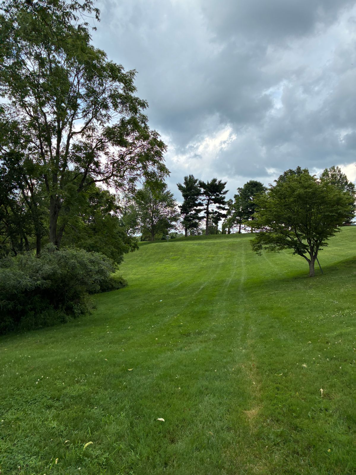 #18 fairway toward baskets.