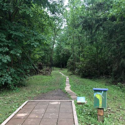 Looking down hole #1