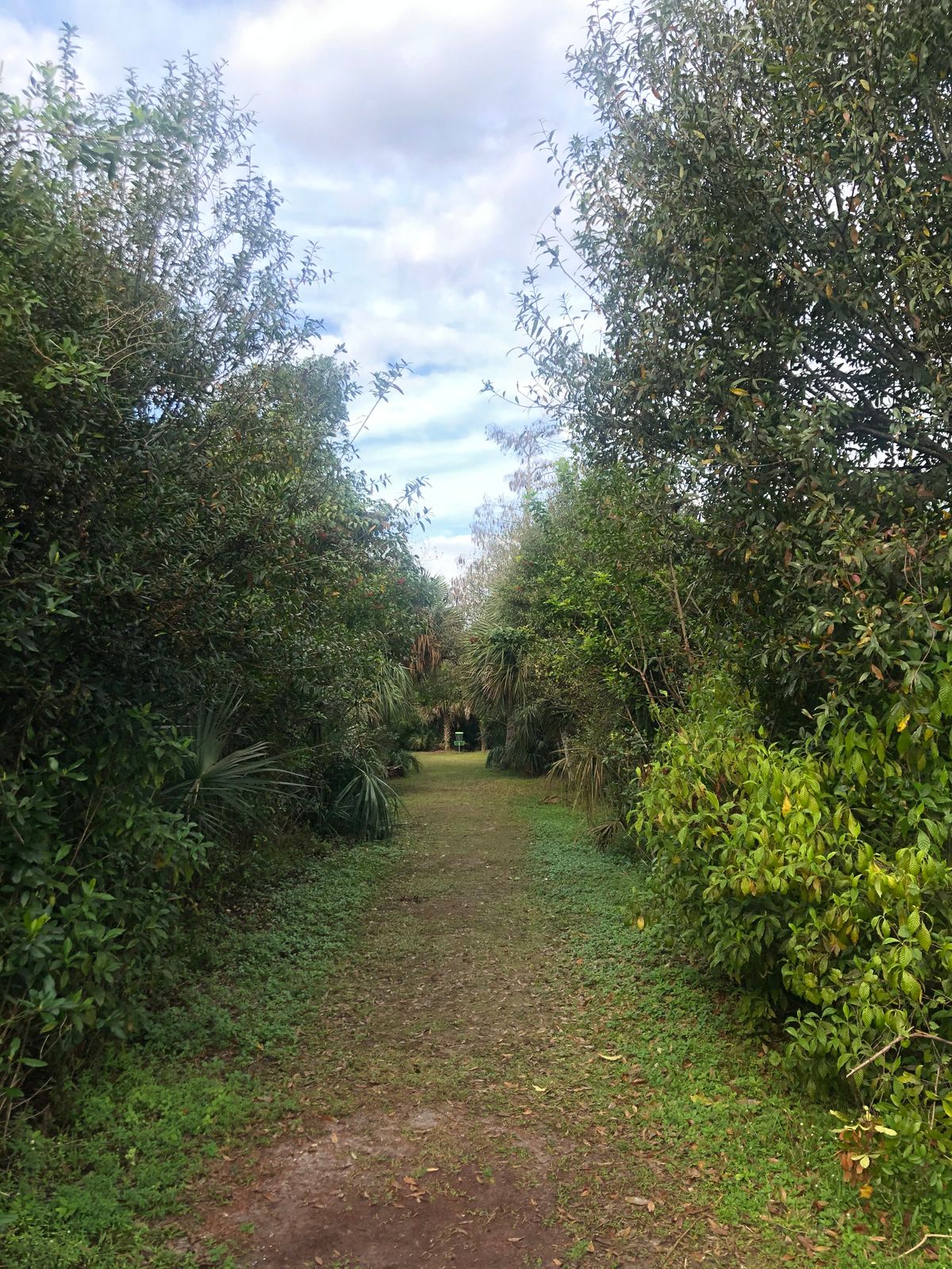 Hole 10