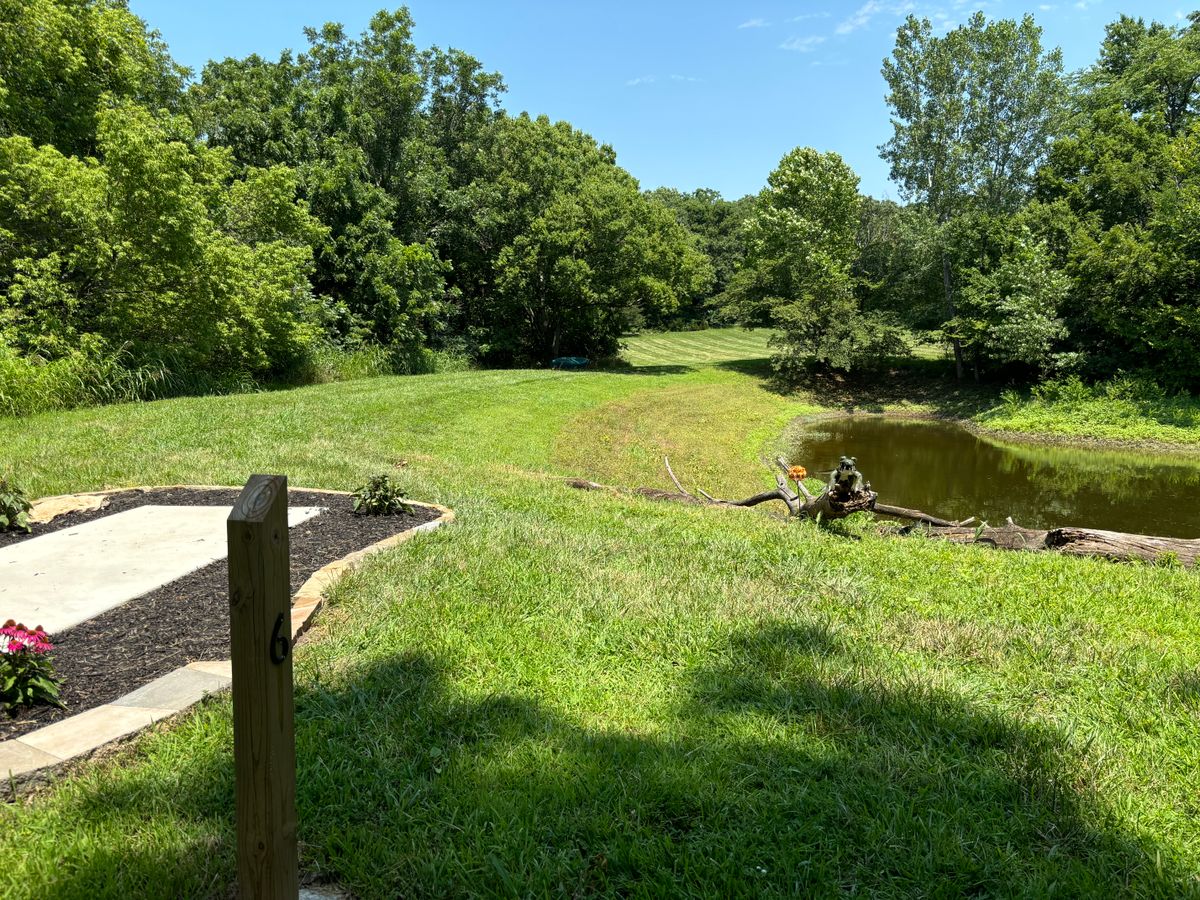 Do not fee the crocodile! Tee pad #6