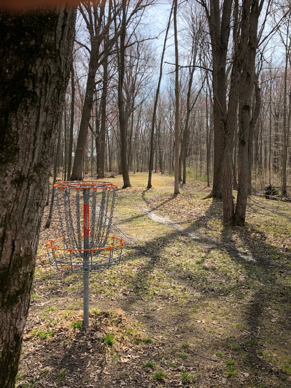 Hole 8 fairway back to tee