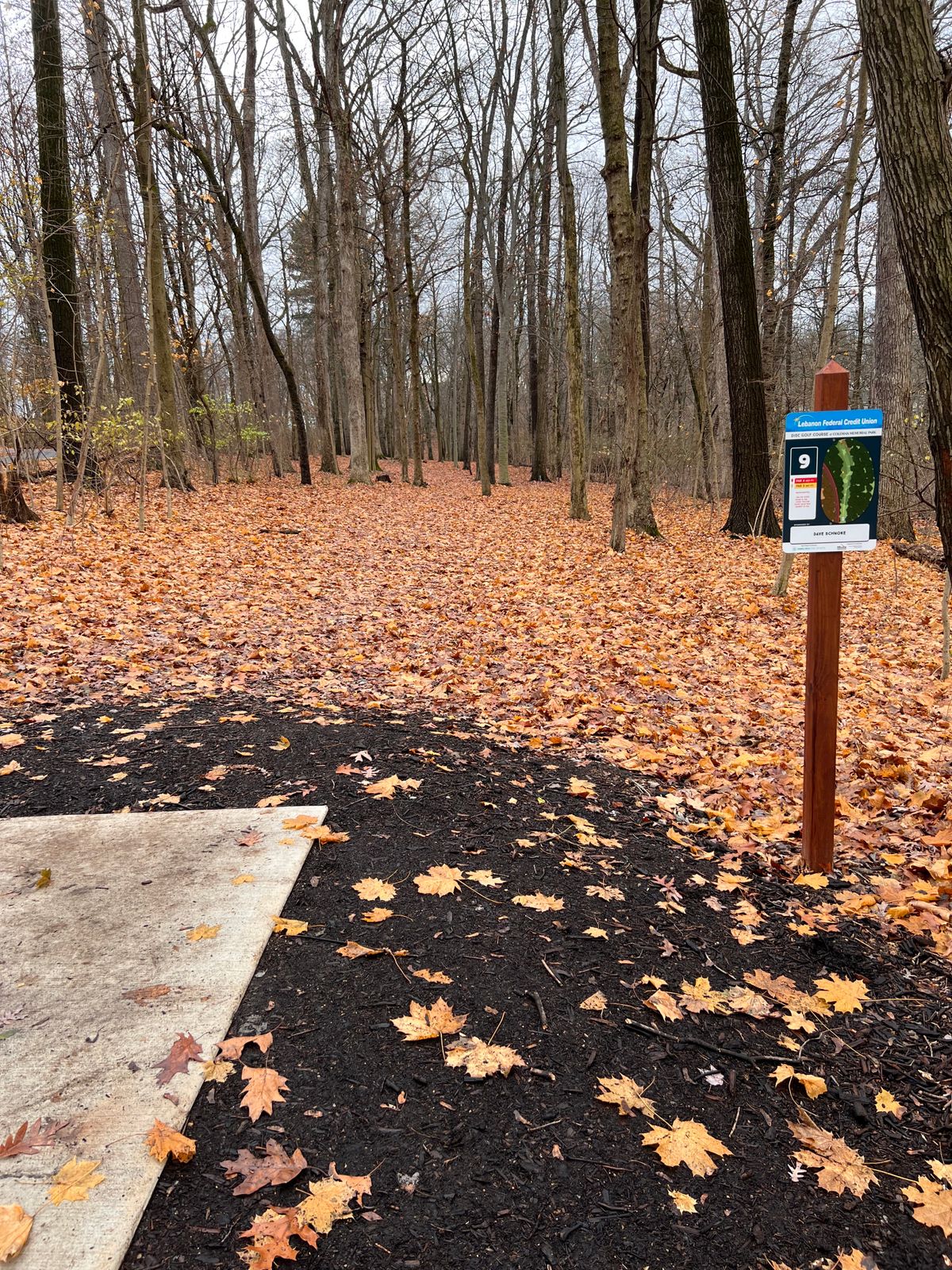 Hole 9