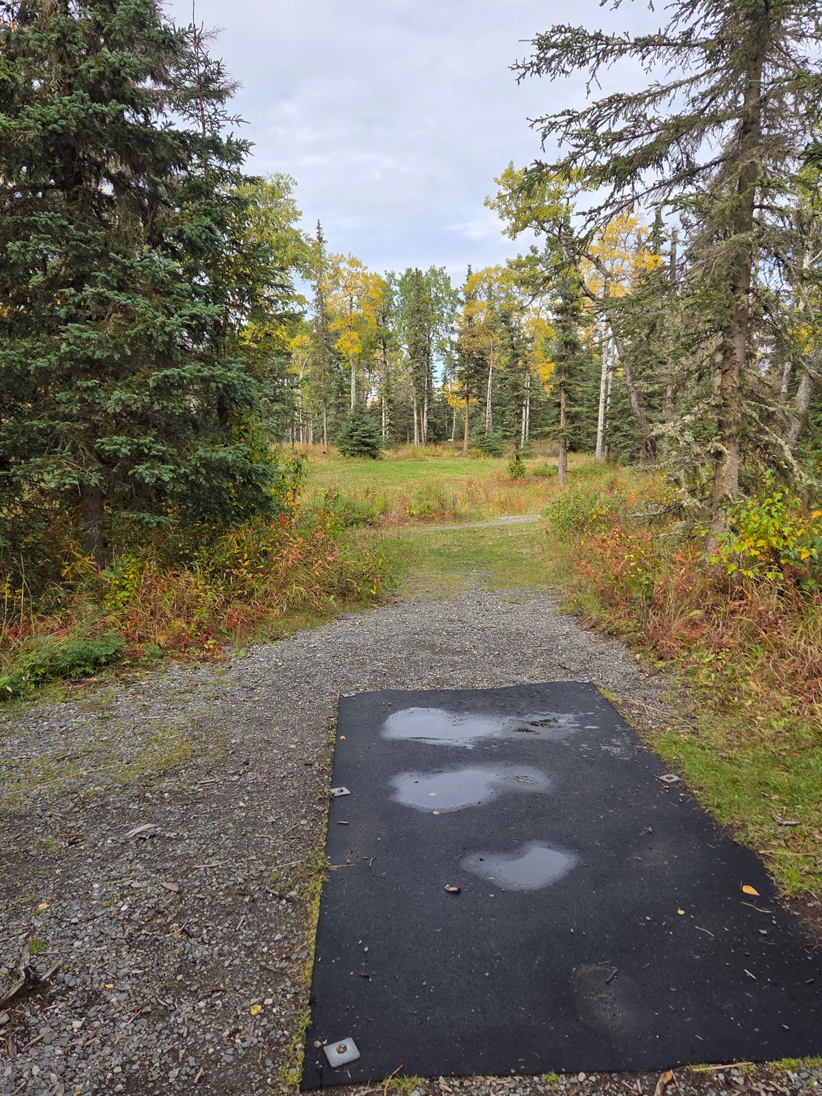 Hole 8 pad and fairway