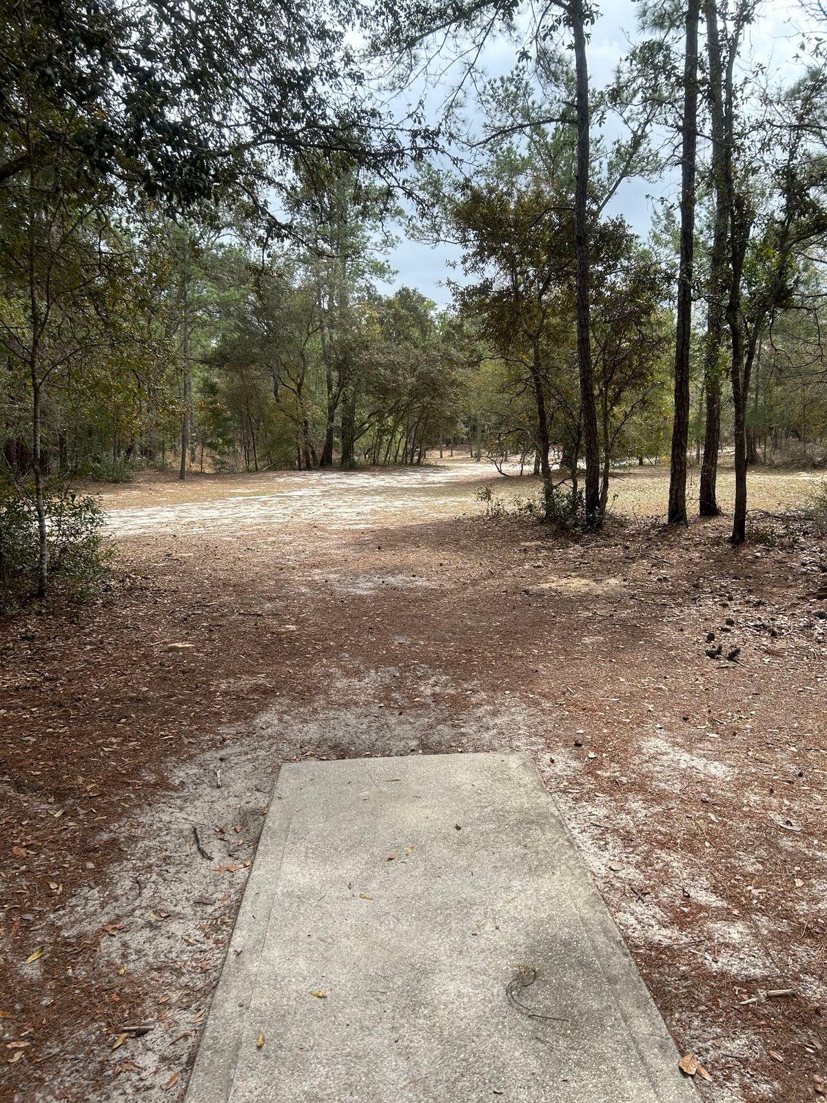 #7 Short Tee