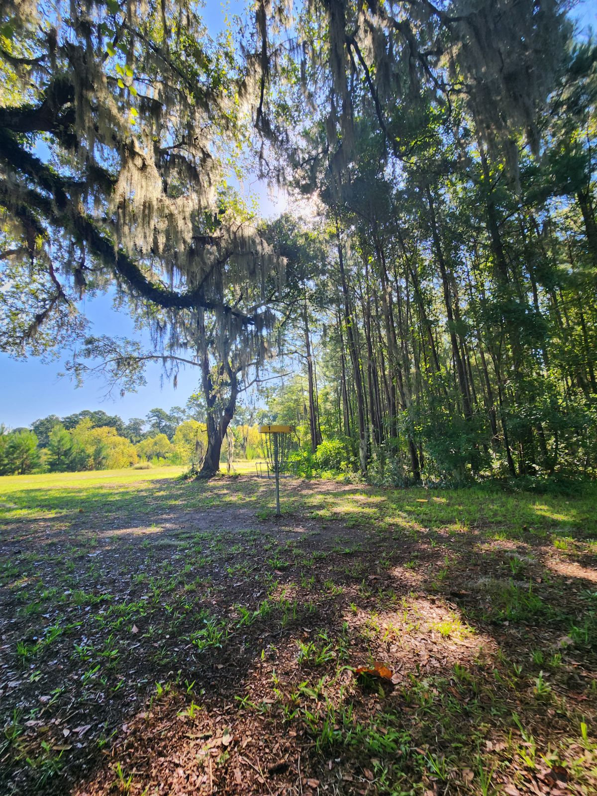 Basket for hole 1