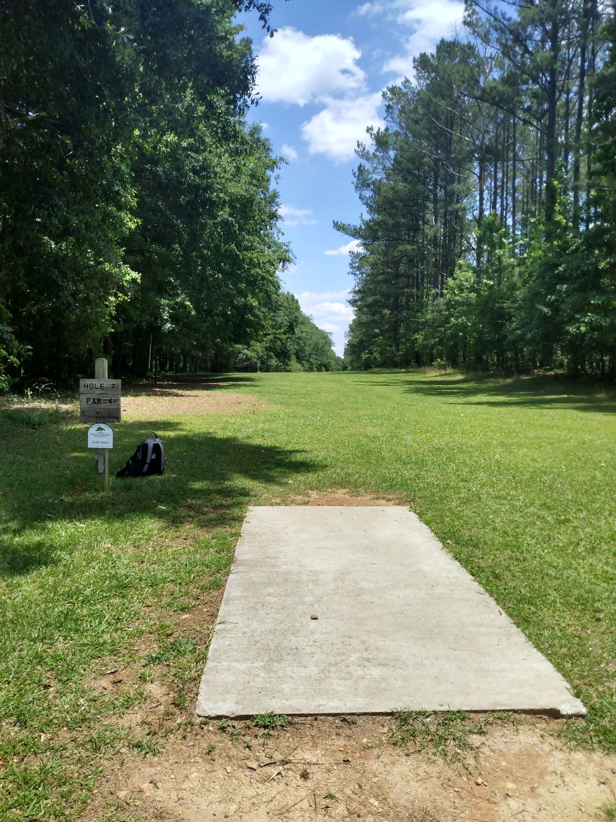 Beautiful Georgia Pines