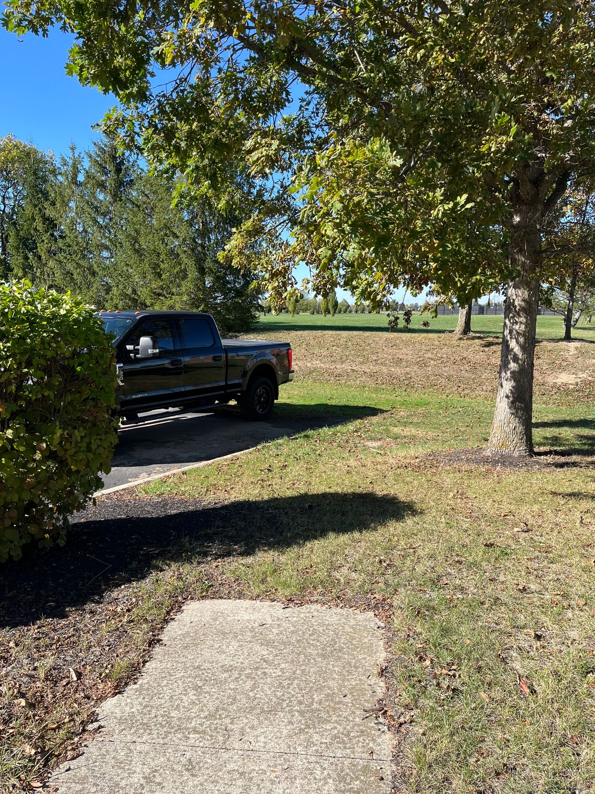 Hole 6 pro tee