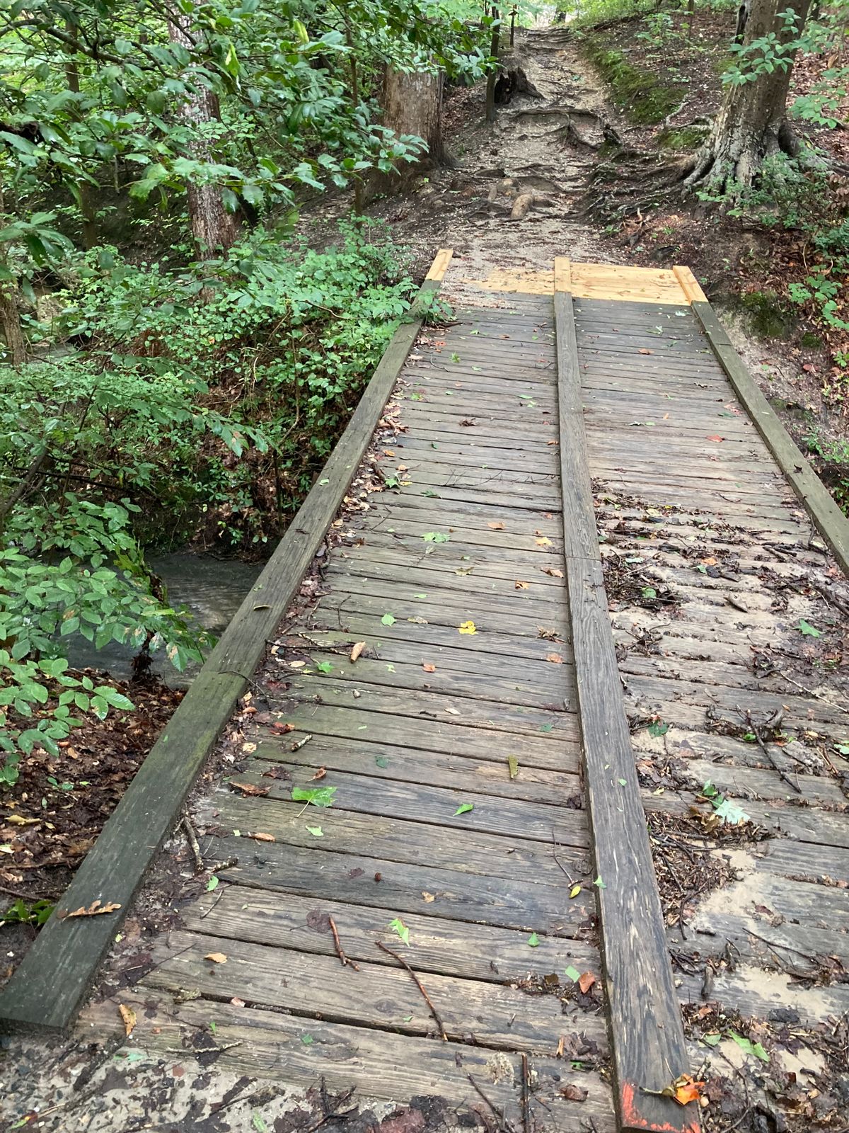 Bridge over the stream (idk the name of the stream but you will become familiar with it on back 9)