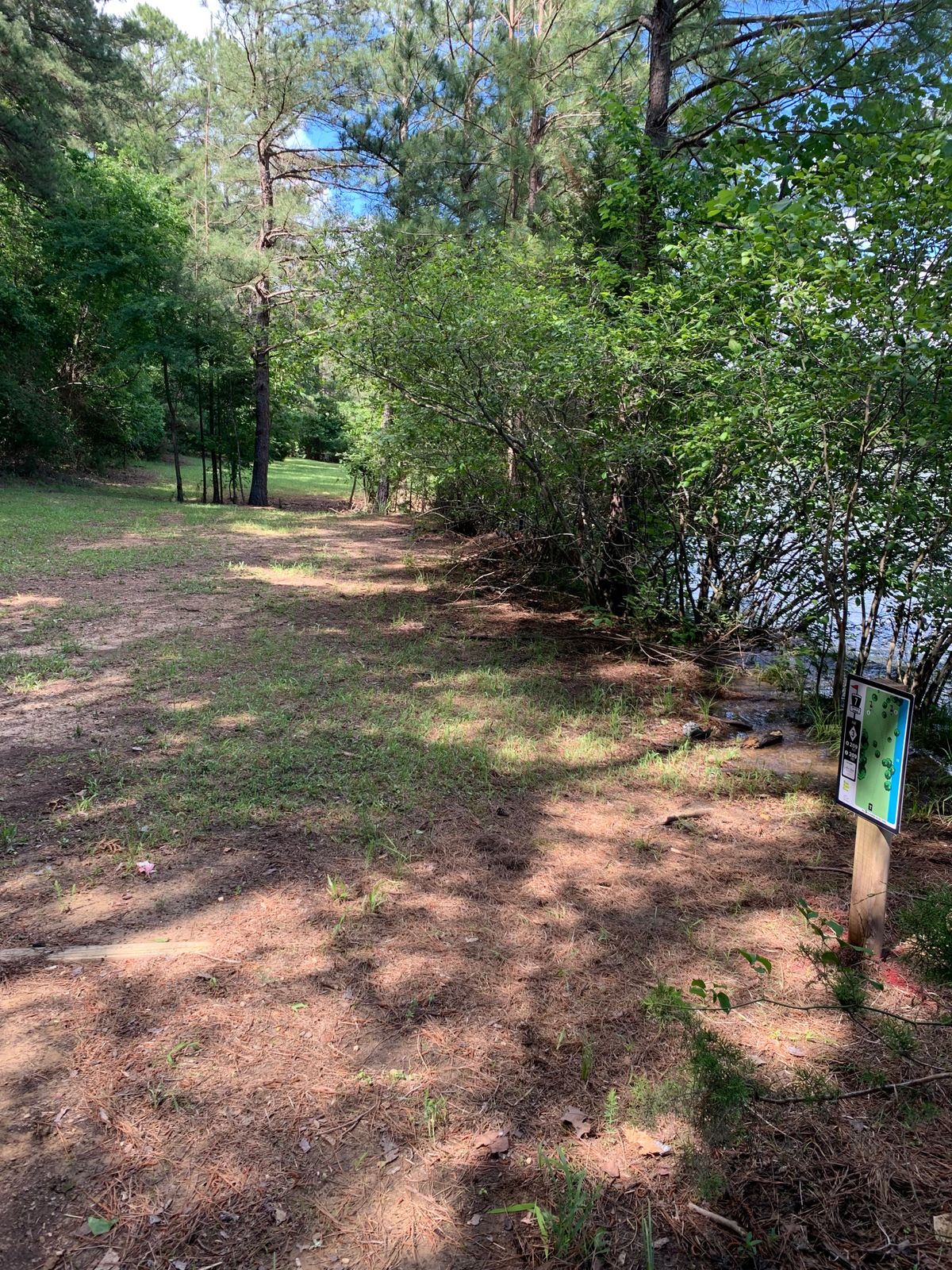 Hole 7