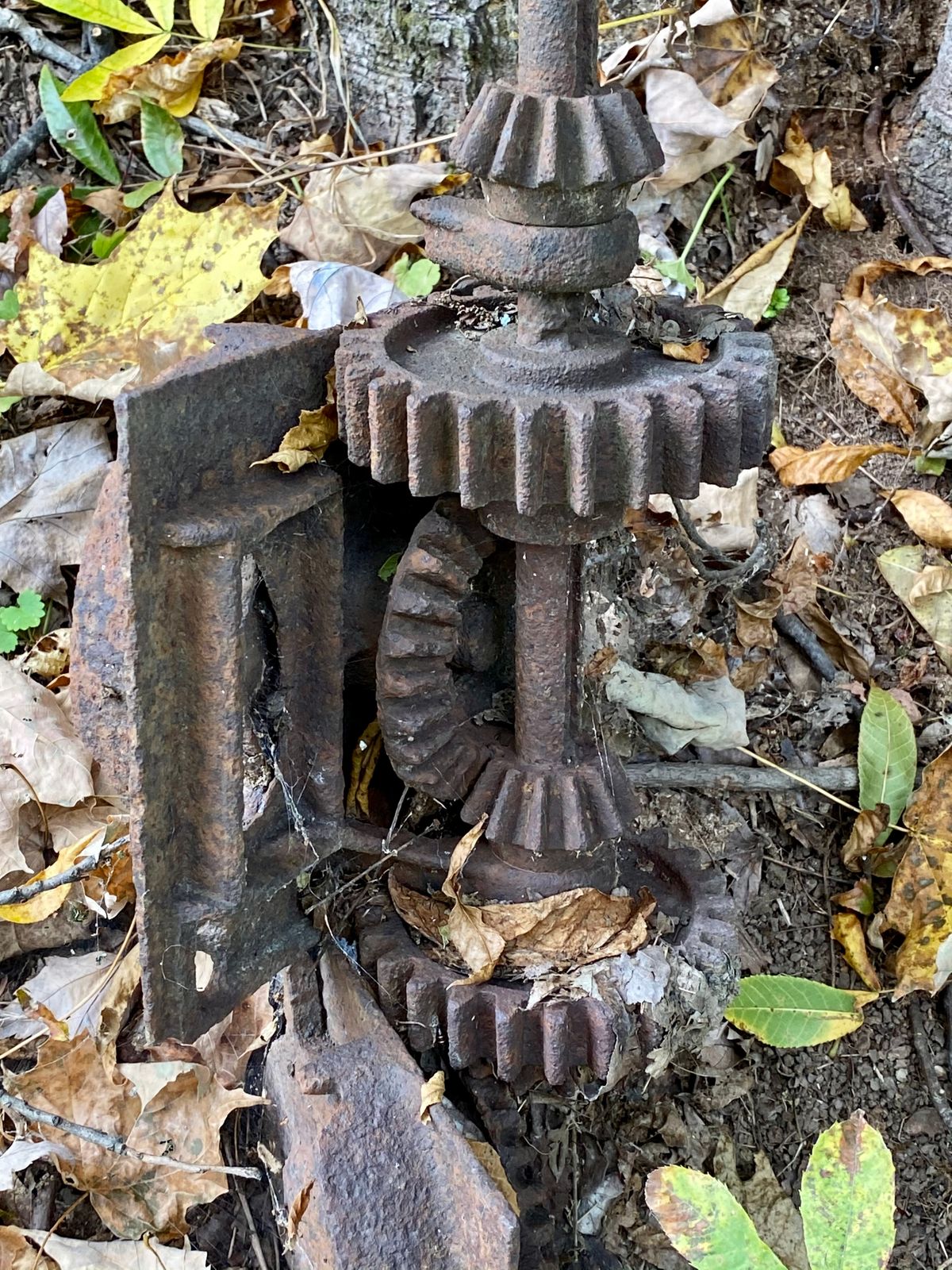 Seen along the path.