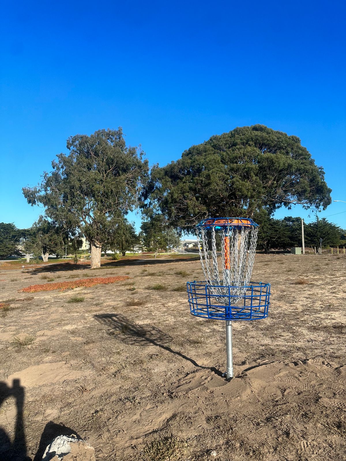 Hole 1's new basket.