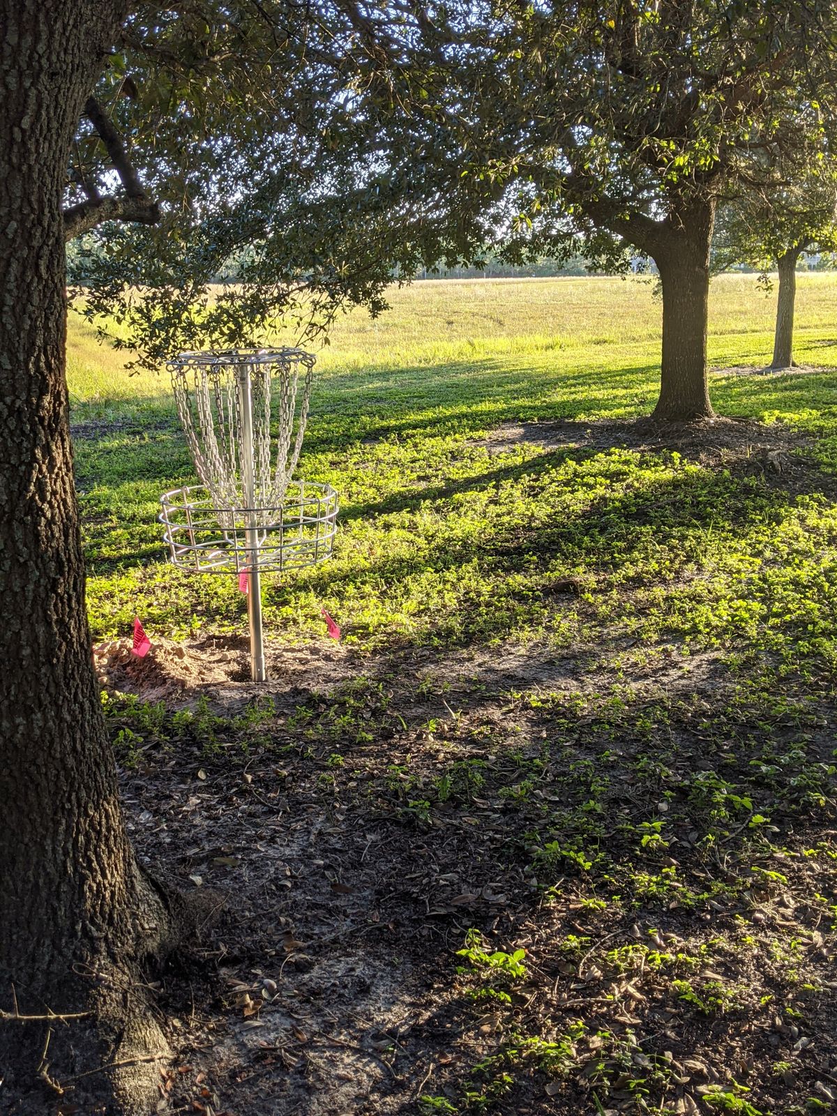 Basket at 18
