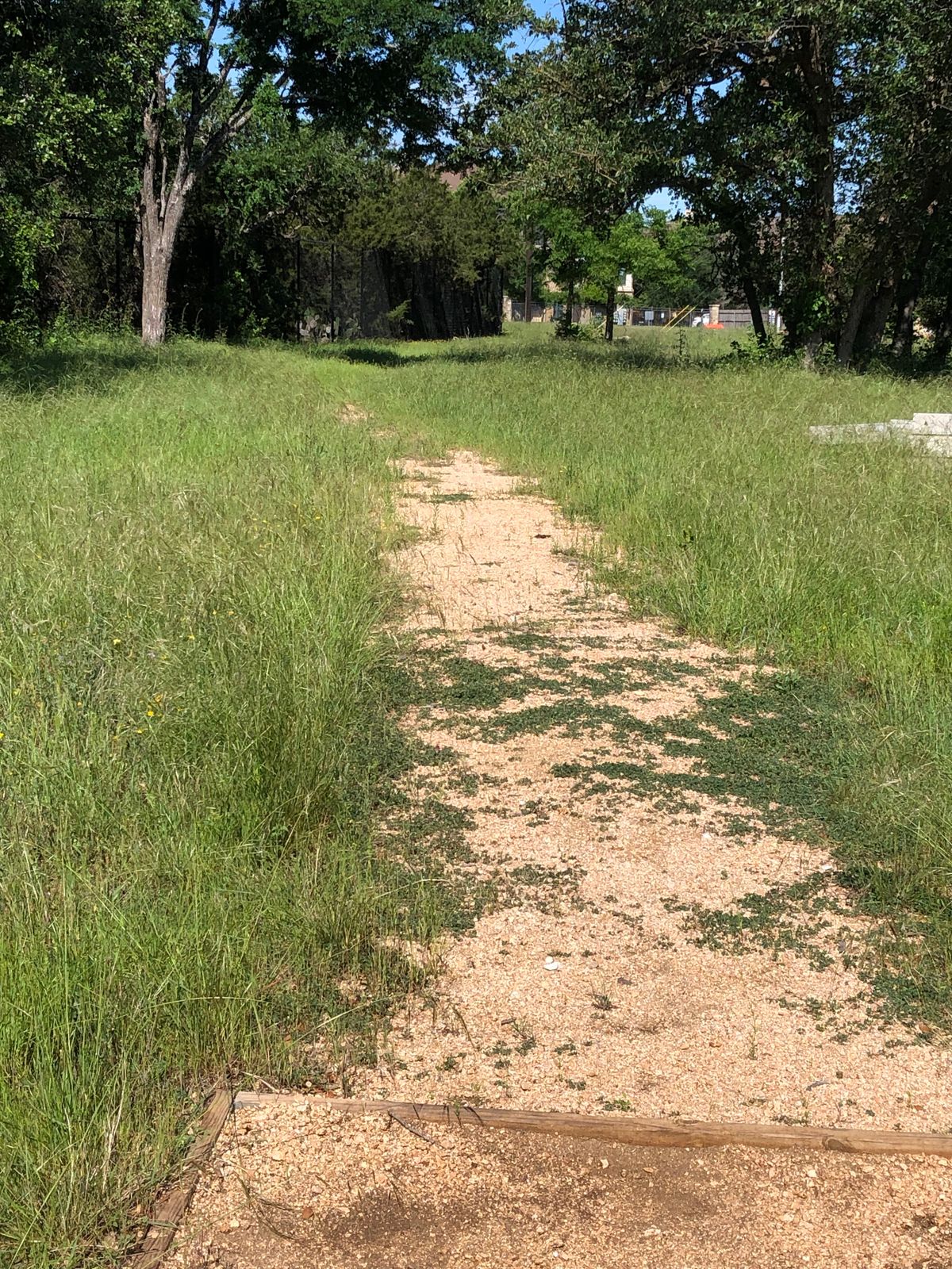 “Fairway.” Example of paths that wander through the course. Most don’t follow the fairway closely.
