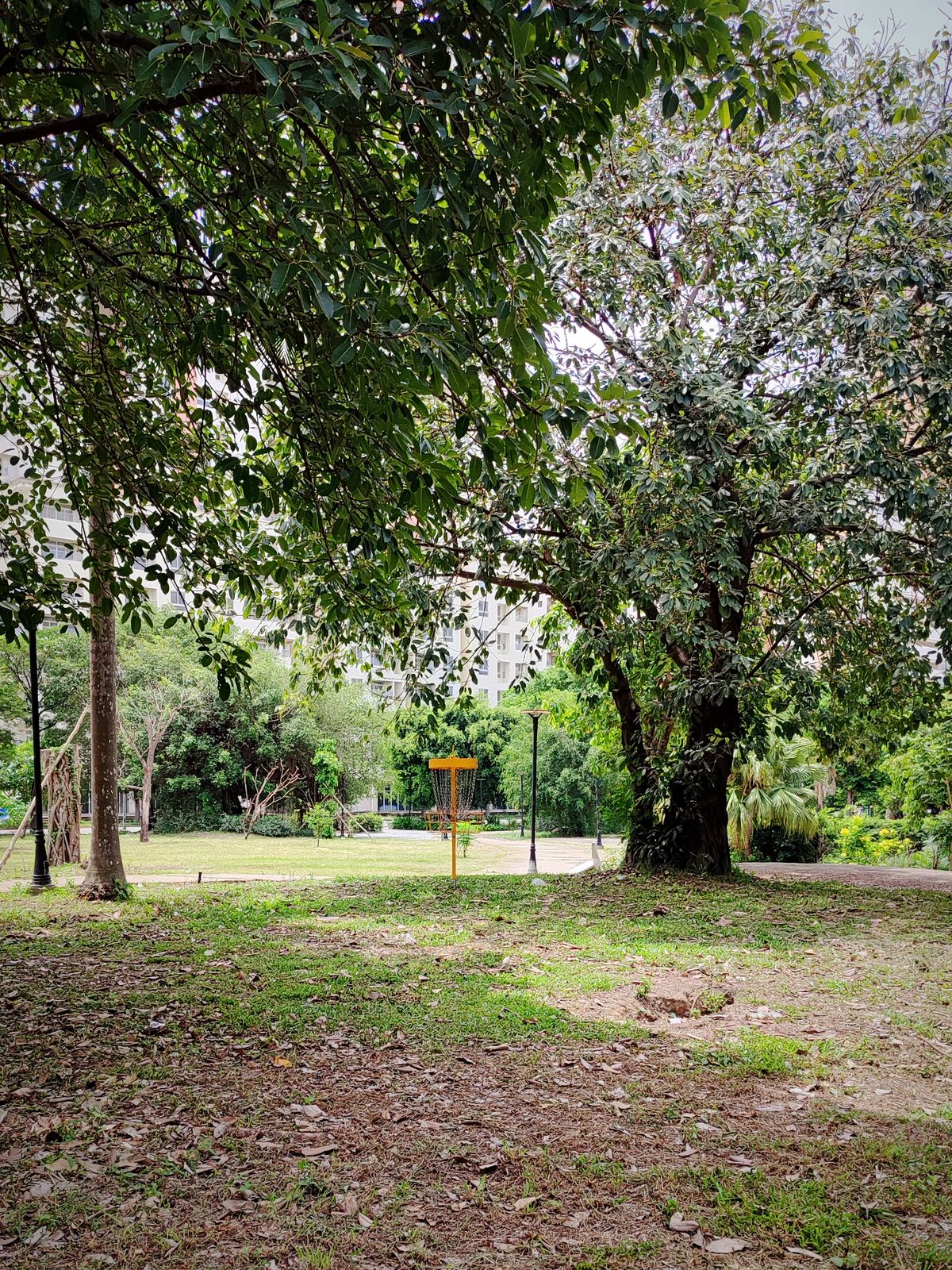 Hole 5 Green - Nine in the Park