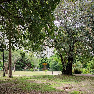 Hole 5 Green - Nine in the Park