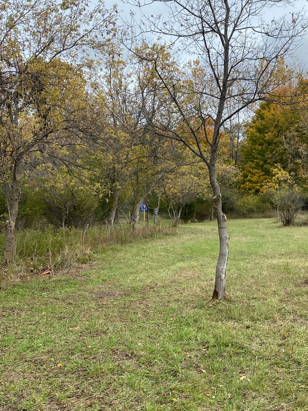 Hole 14 approach