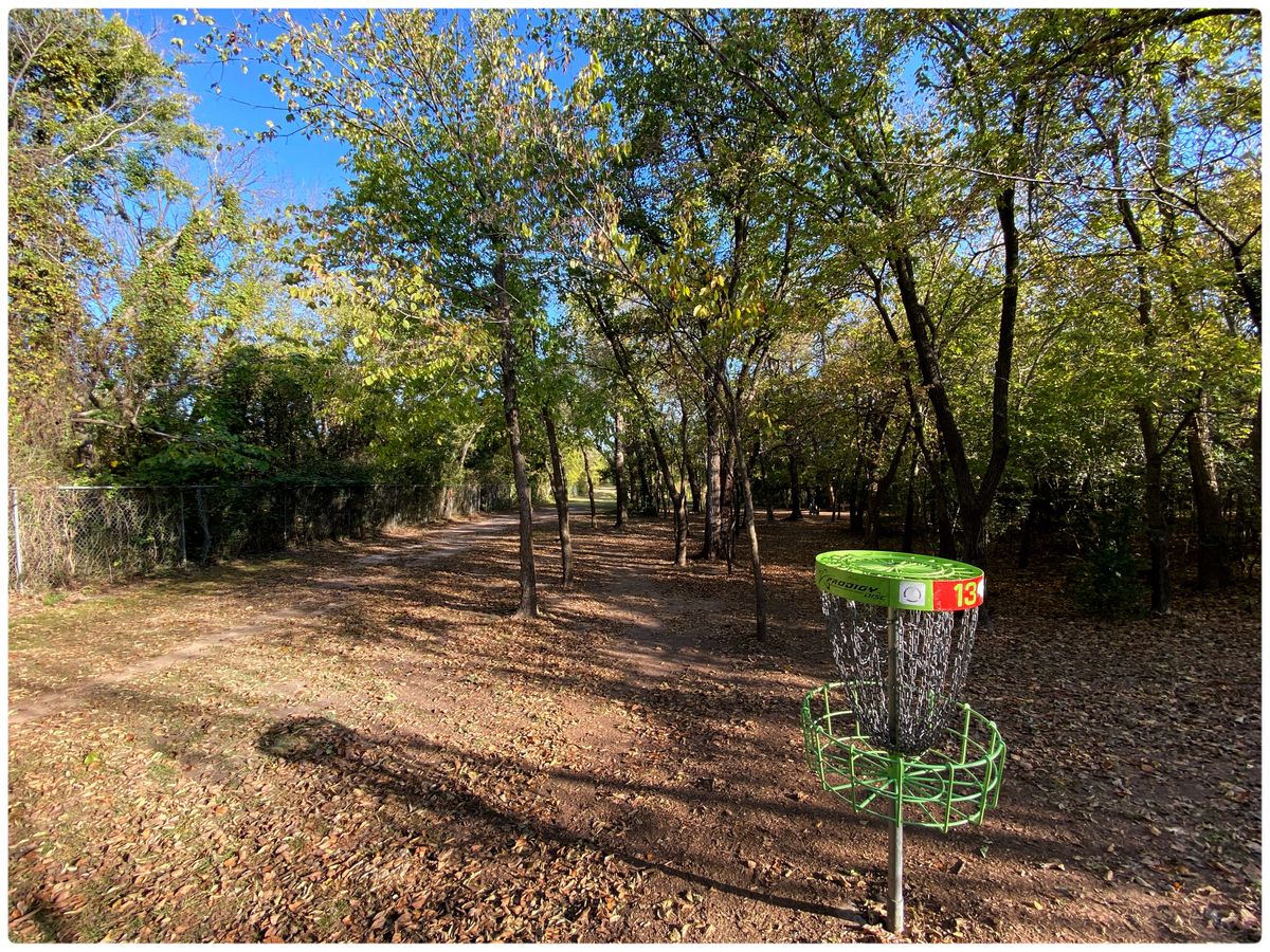#13 - long position in the trees