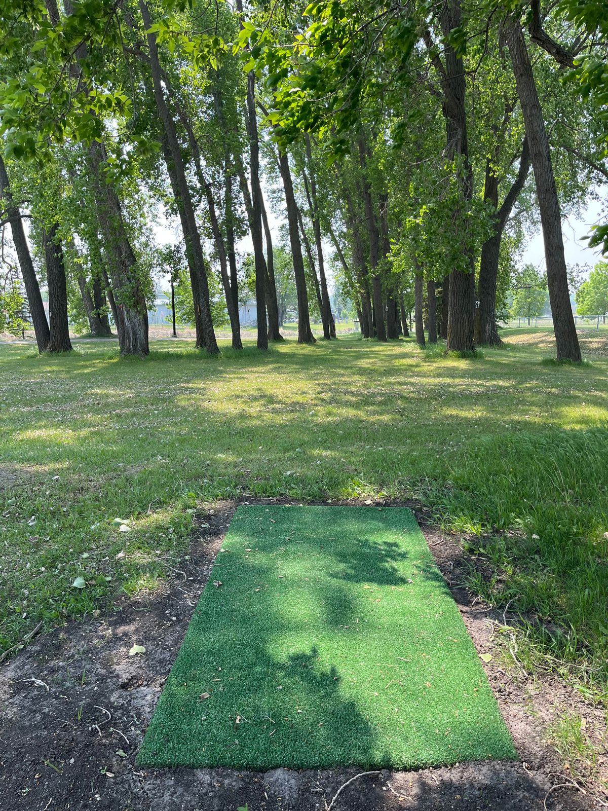 Hole 5 red tee