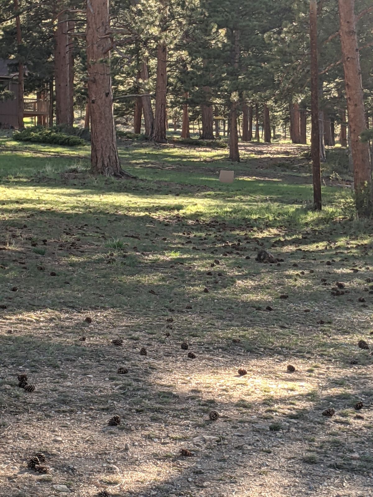 Hole 1