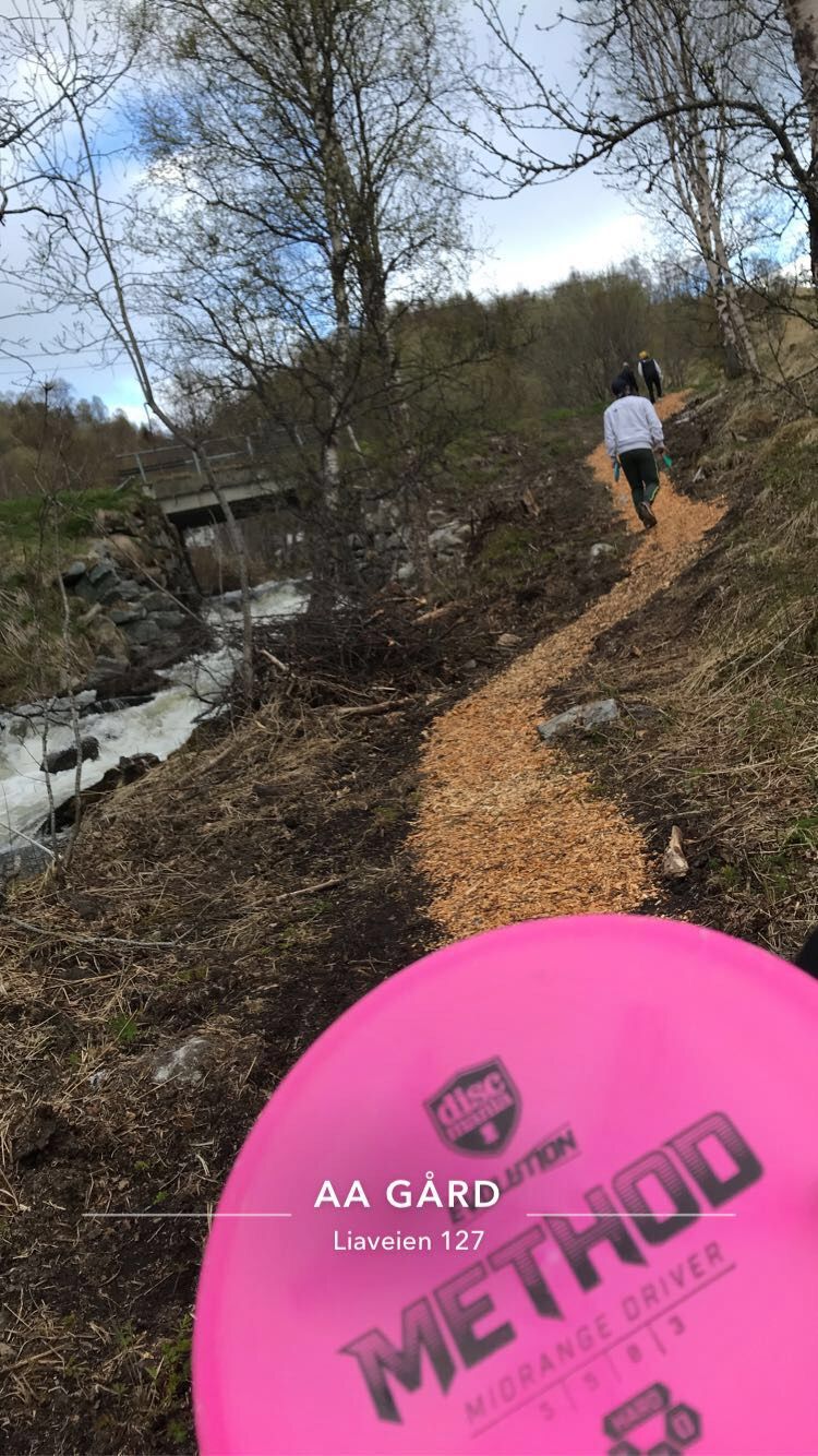 Frisbeegolf debutant😎