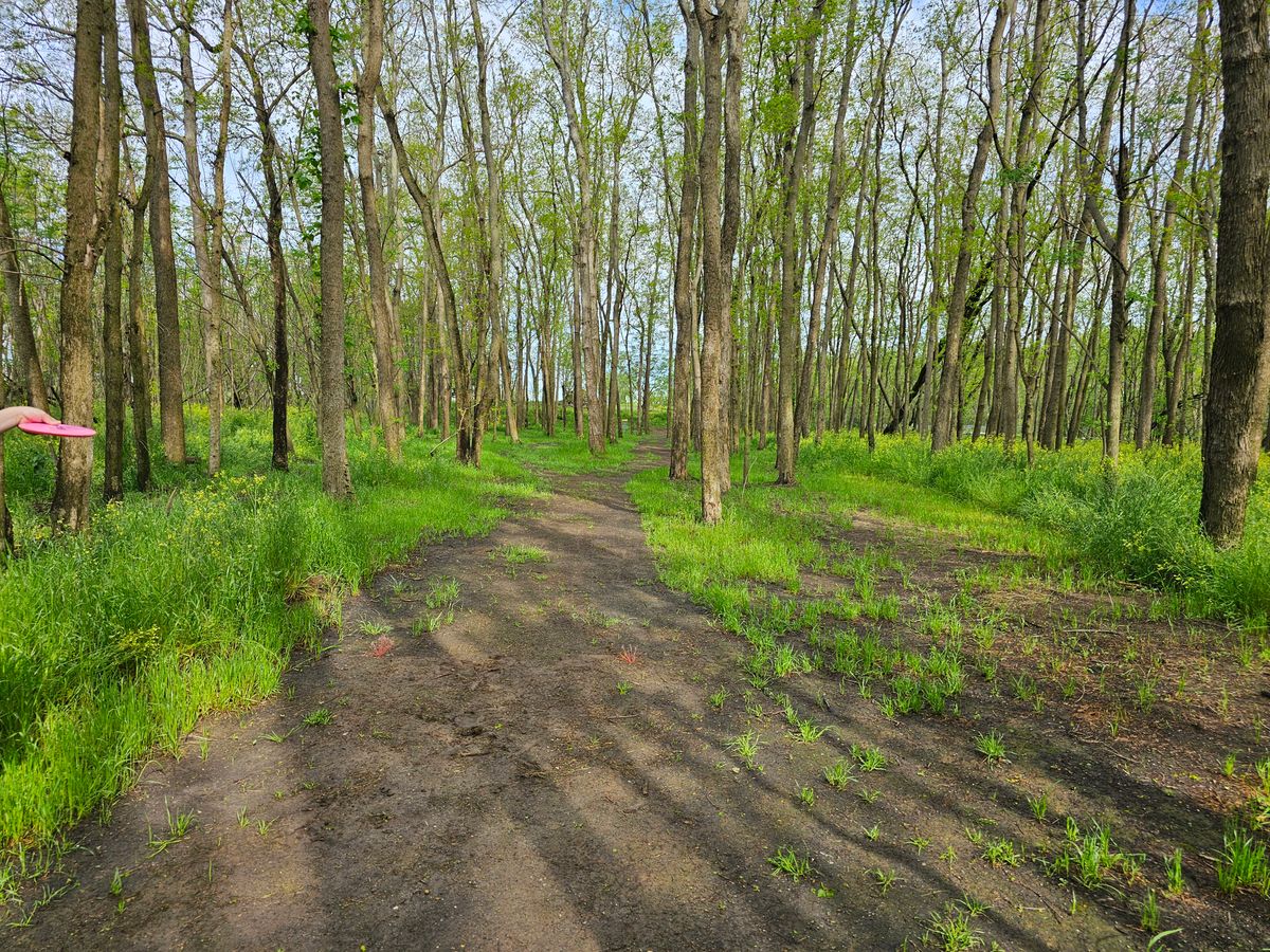 Hole 7 red tee
