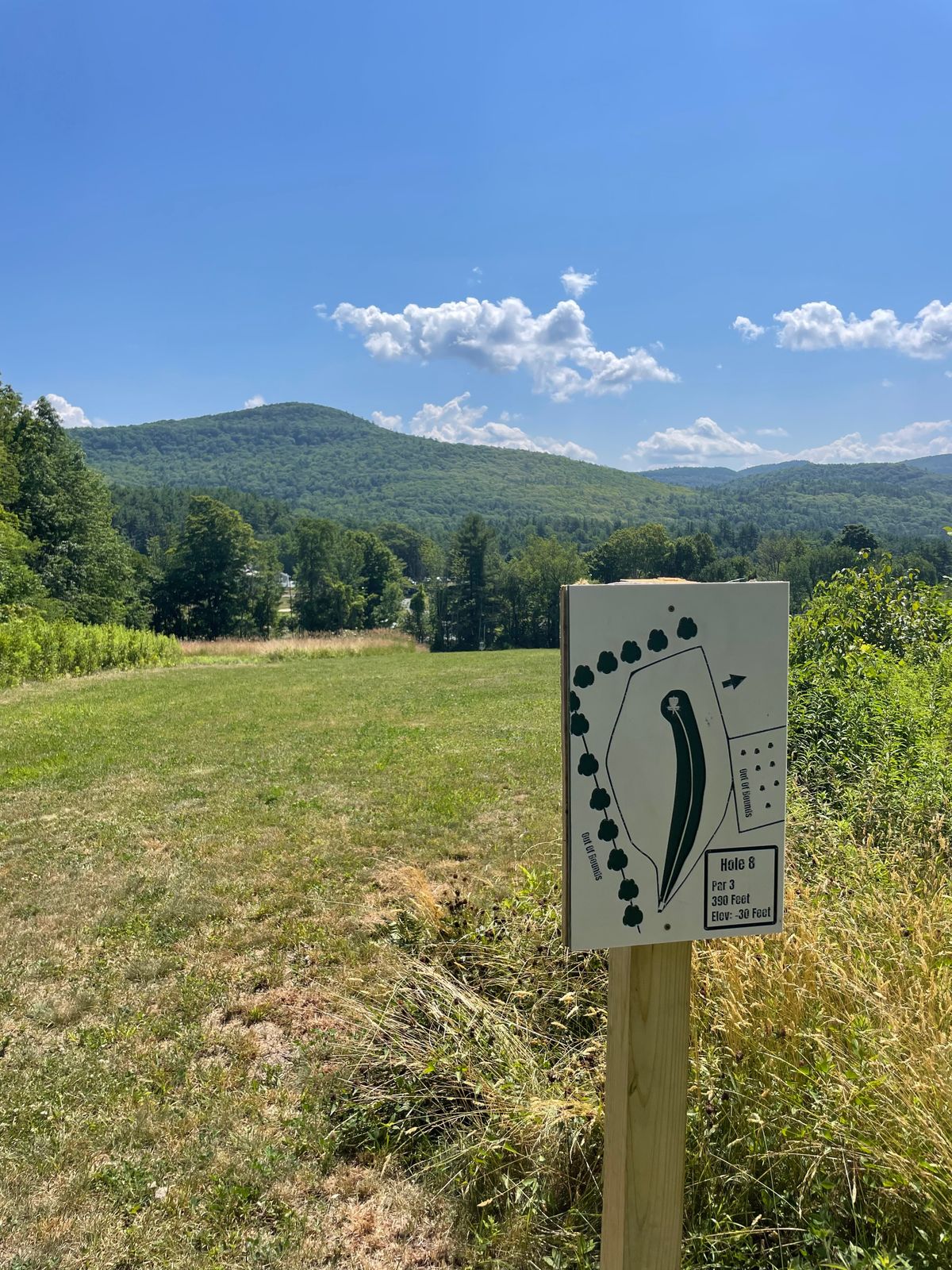 Downhill Hole 8