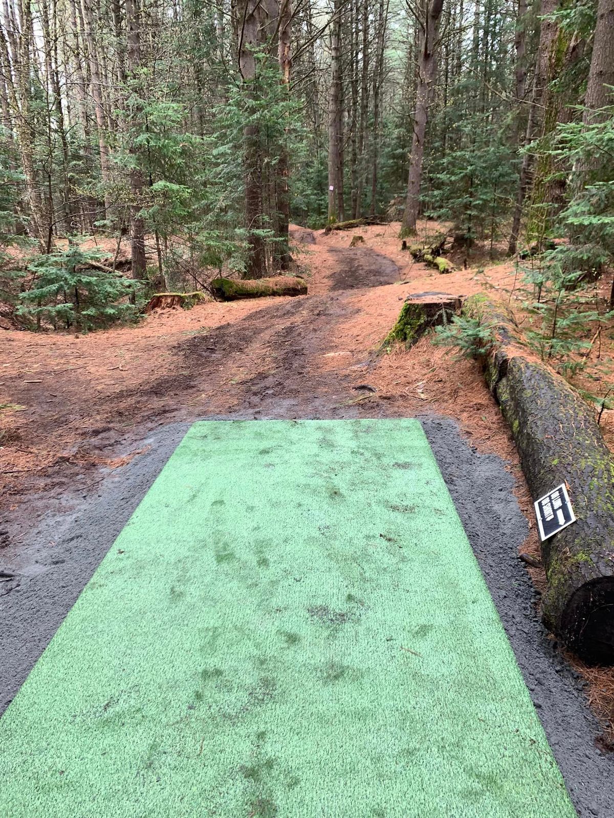 View from #8 shorts. The original tee deck location we don't use much locally. 