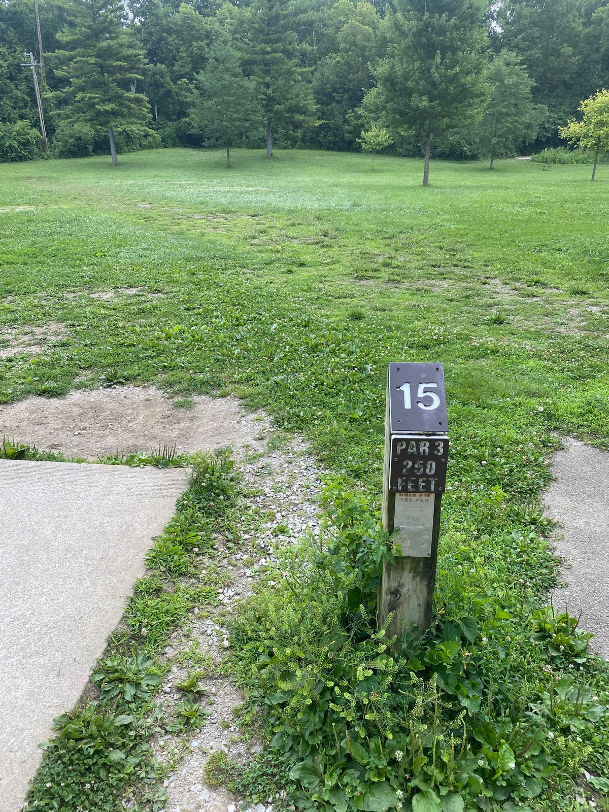 Hole 15: Par 3, 250ft