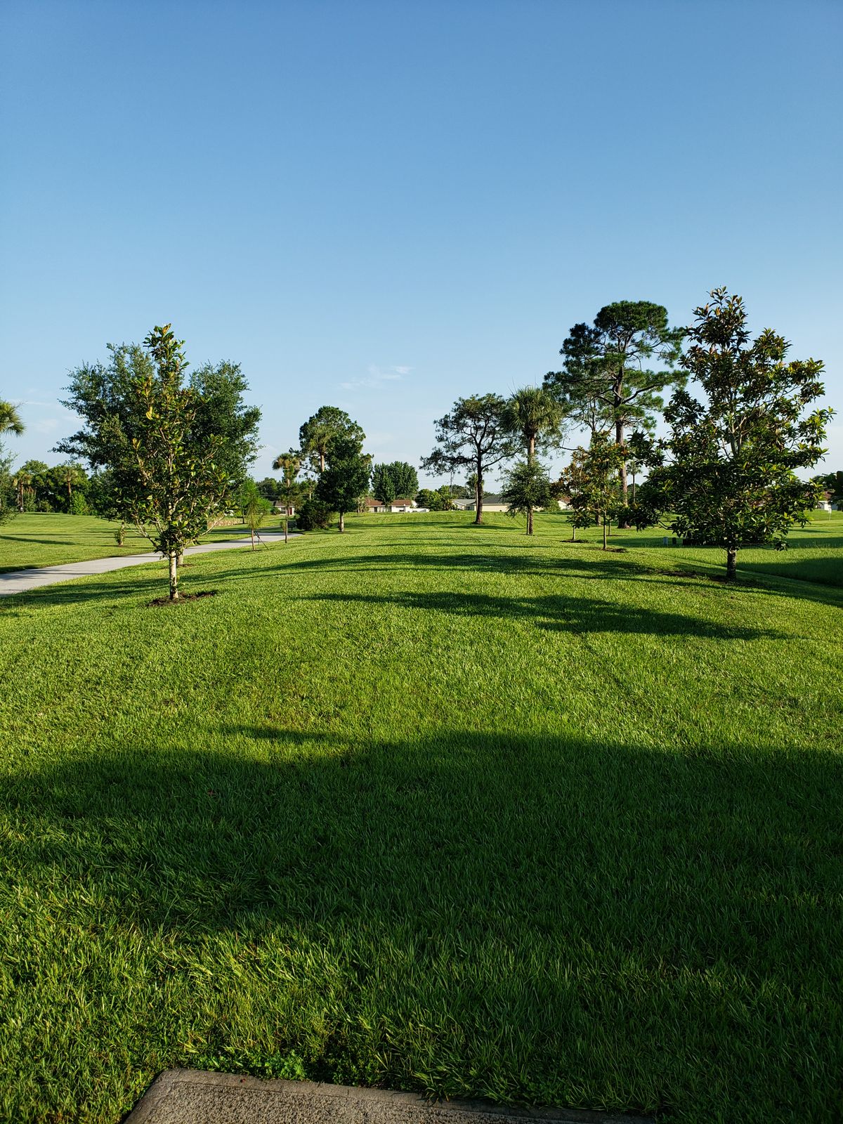 #1 Short Tee view.