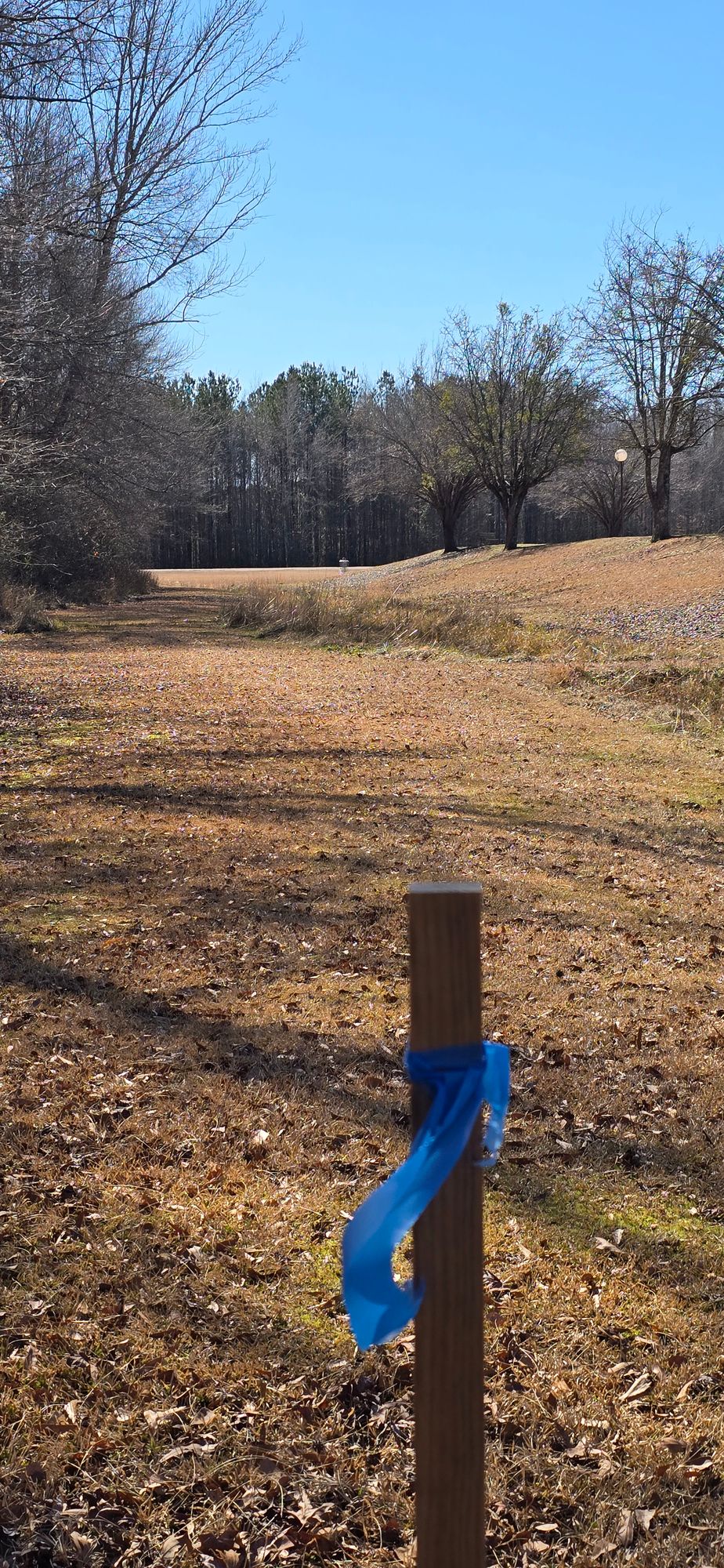 Location for hole 10 AM Tee