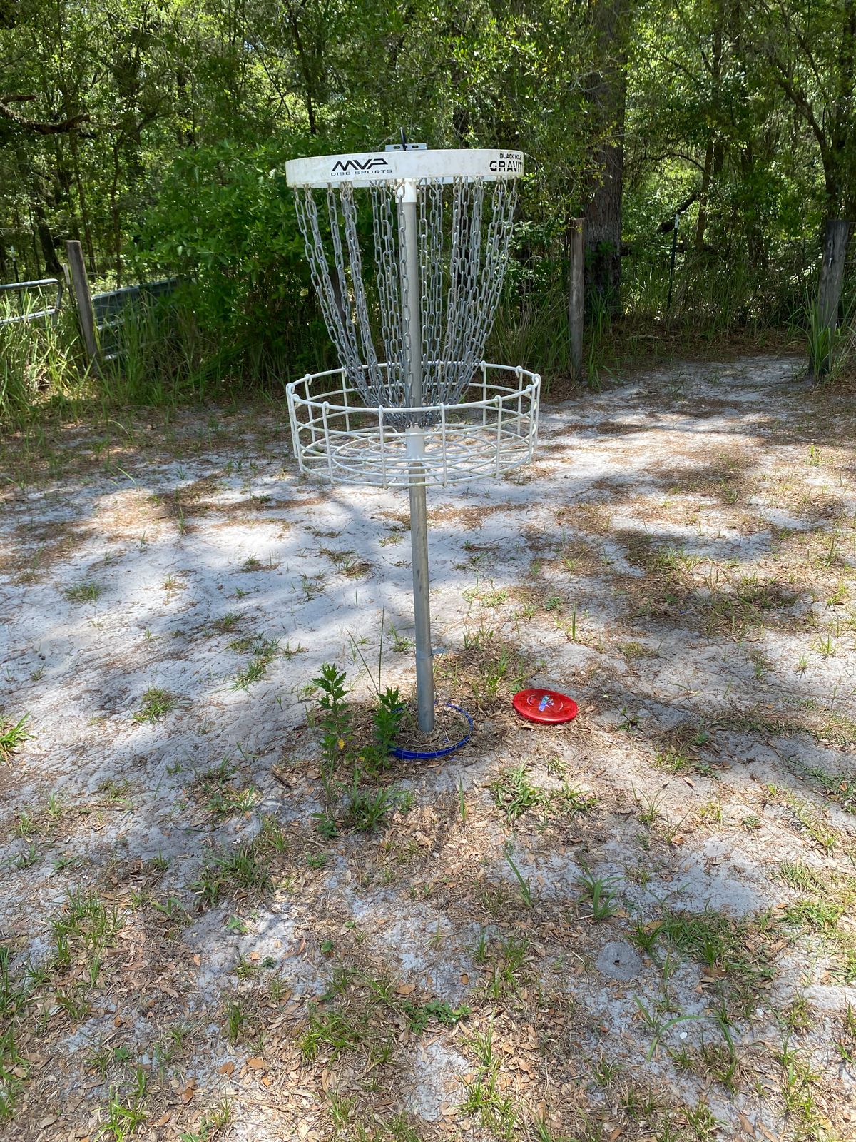8 is an island green.