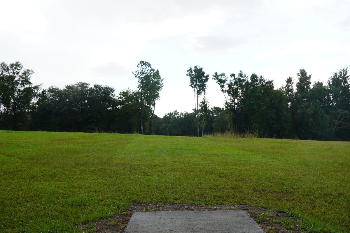 Hole 12. Long tee. Par 5 - straight then dogleg left.