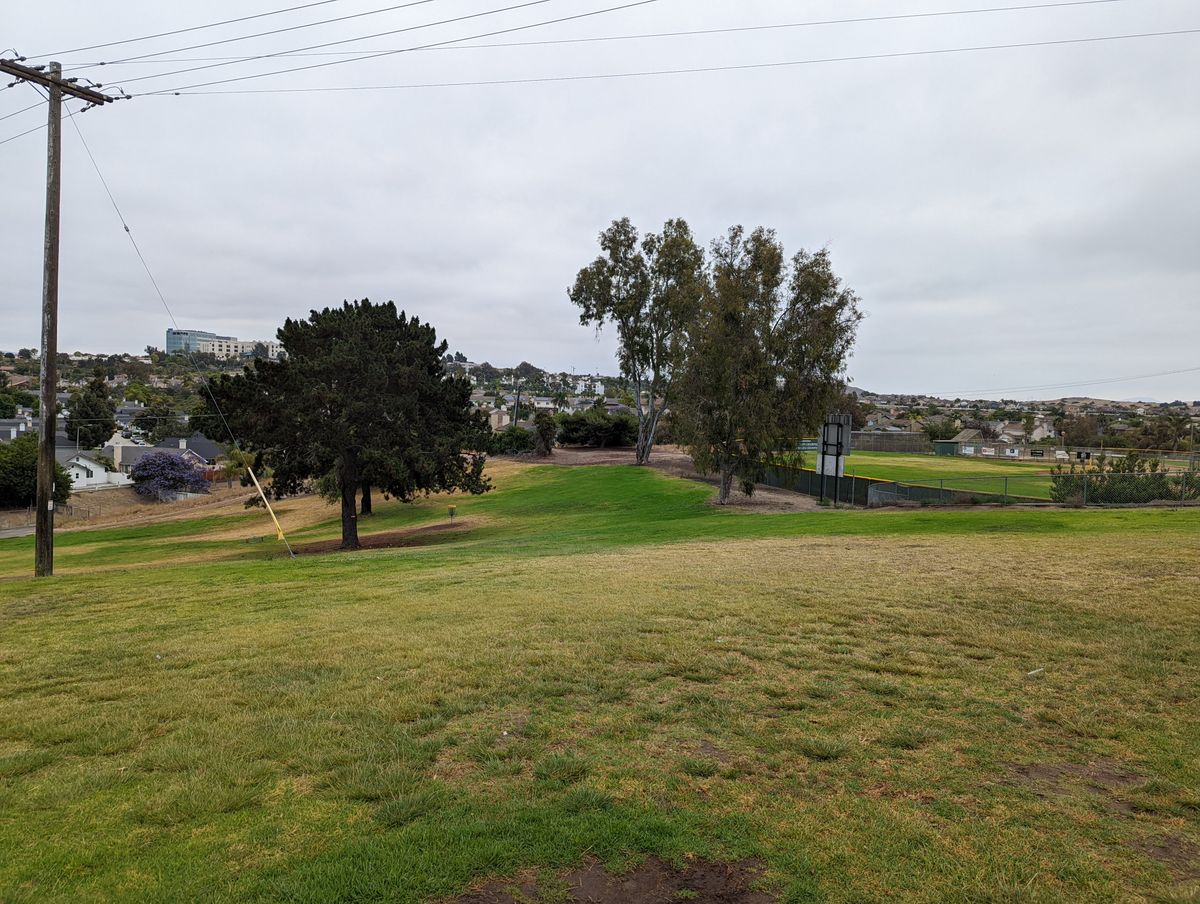 Hole 4. Double Mando, trees to left and right.
