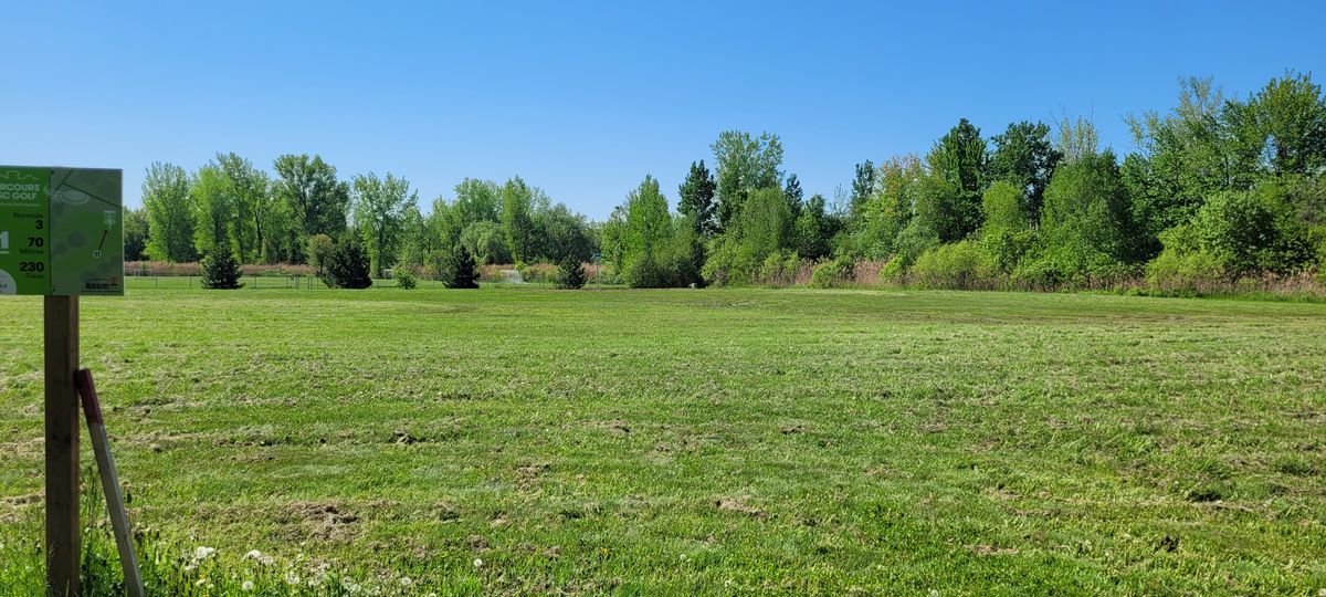 Fairway 11