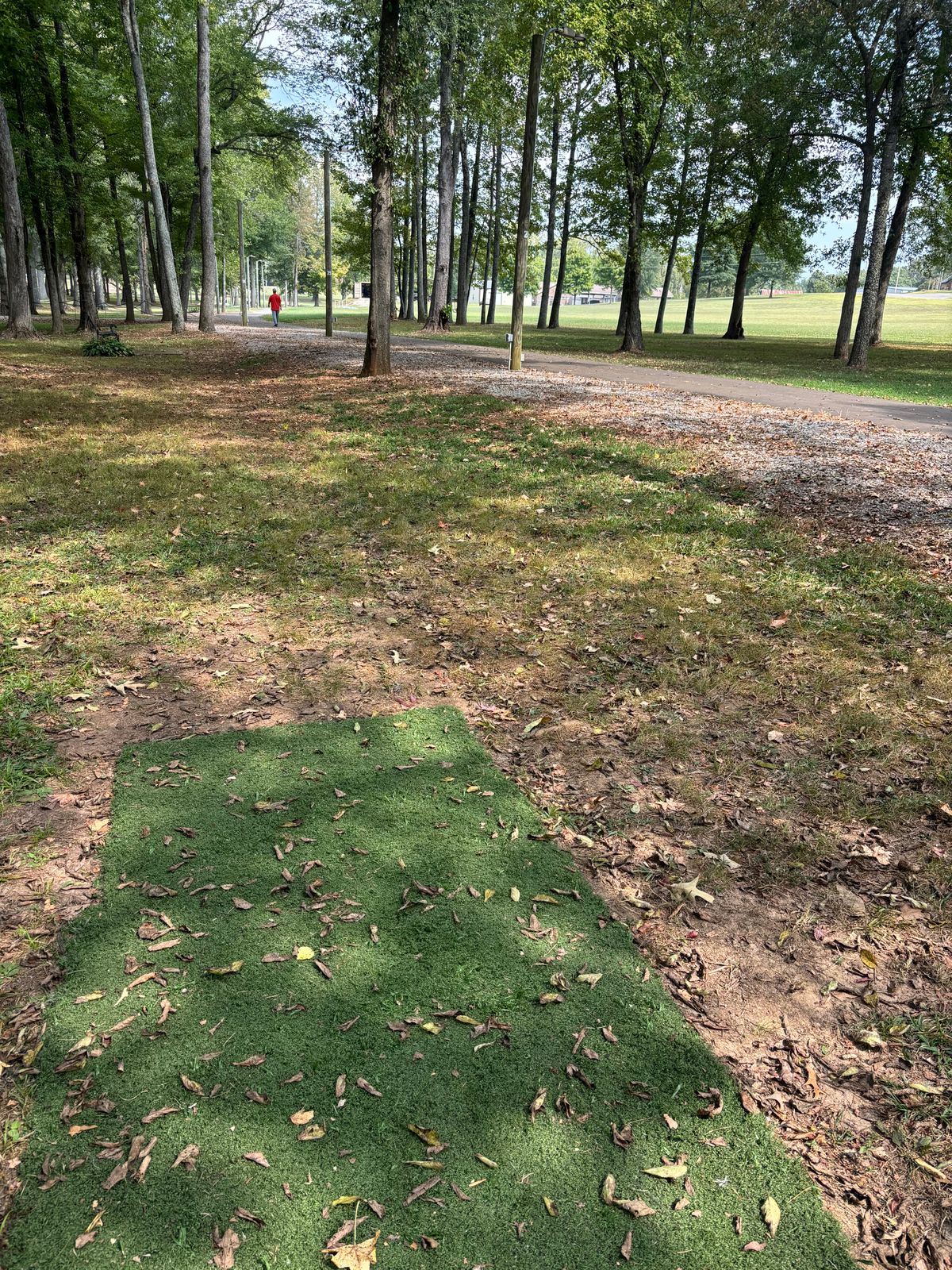 Hole 8 teepad