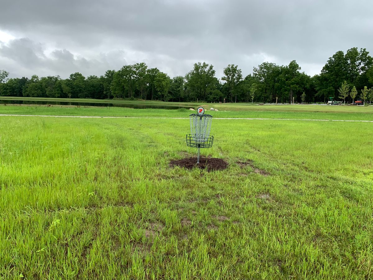 Hole 7 Basket