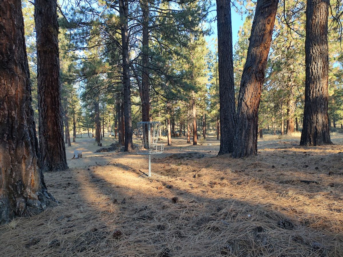 Hole 15 Basket