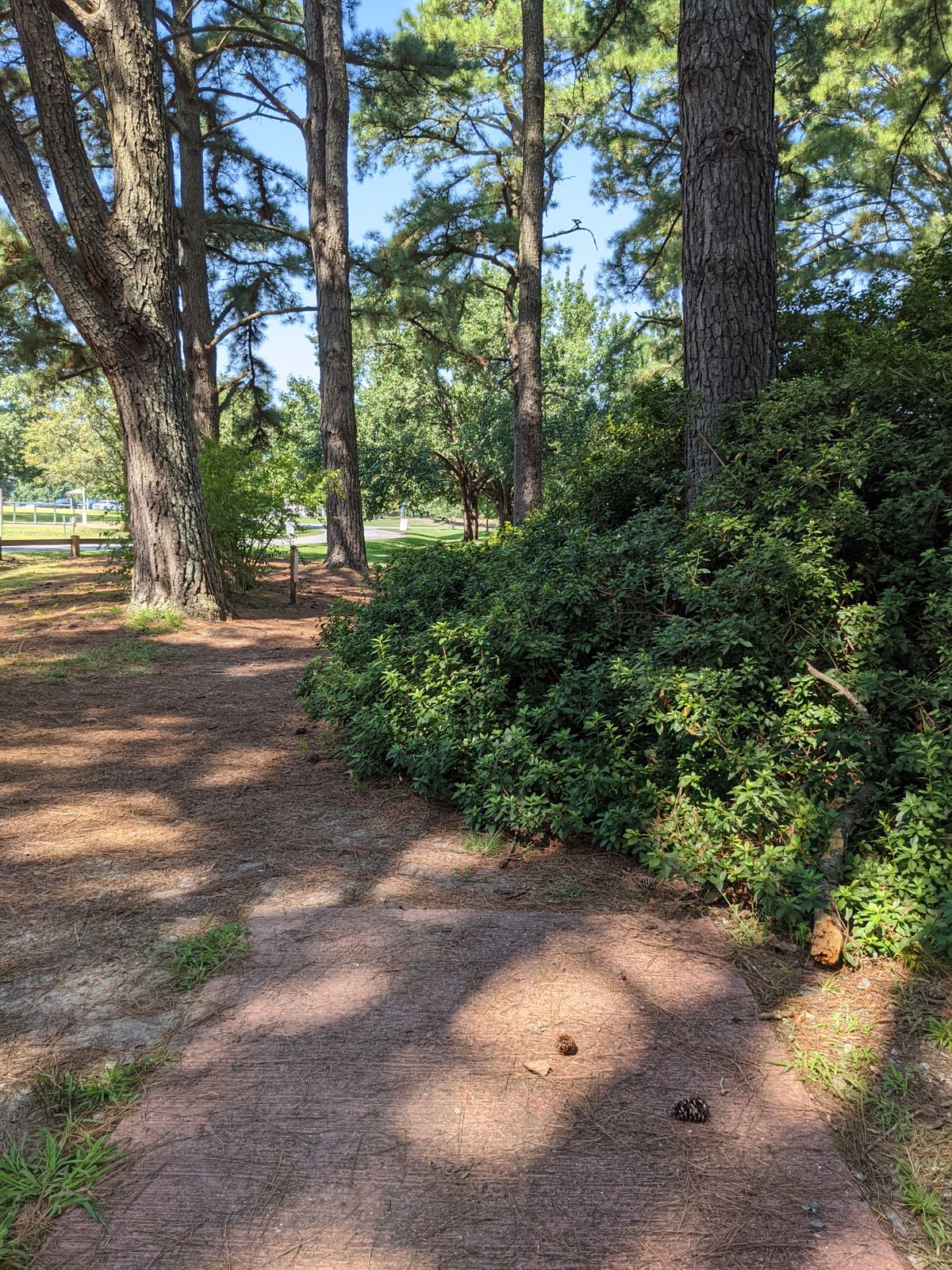 Hole four red tee