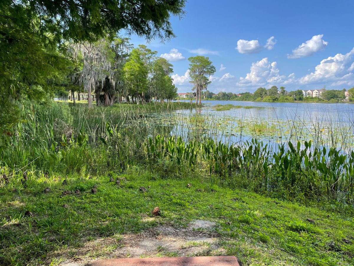Hole 16 Red Tee