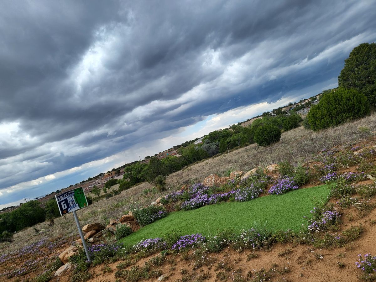 The Tee Boxes and hole guides are easy to find and understand, and we'll maintained. The backdrop of the tee box speaks for itself.