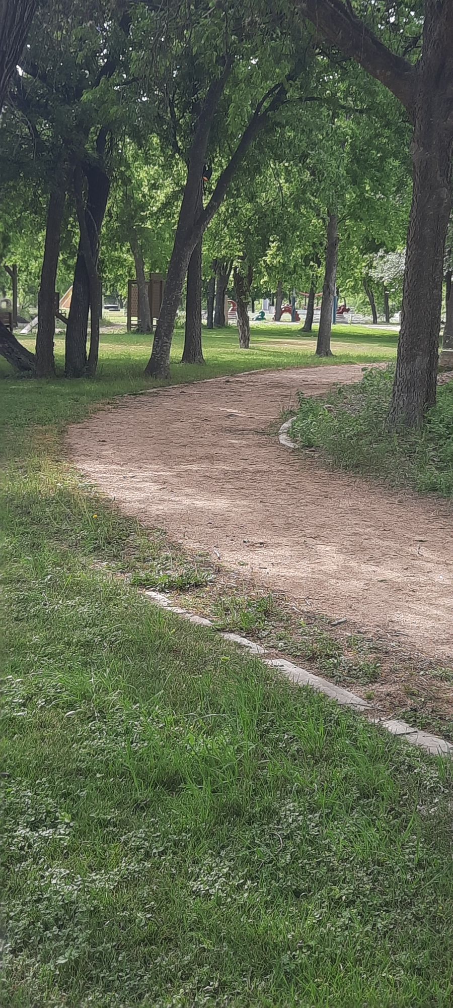 Hole 2, basket behind the center tree